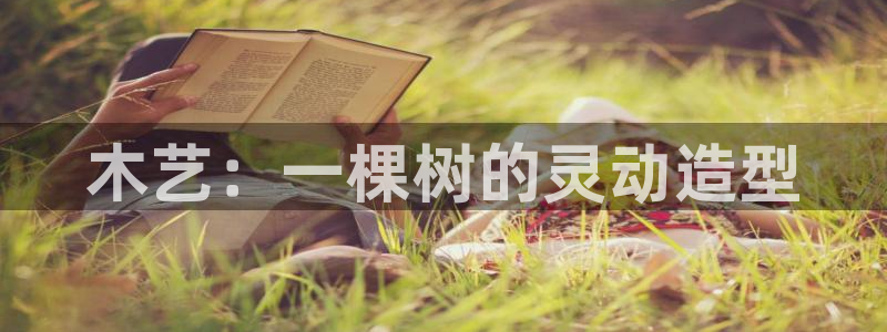 天顺人间娱乐