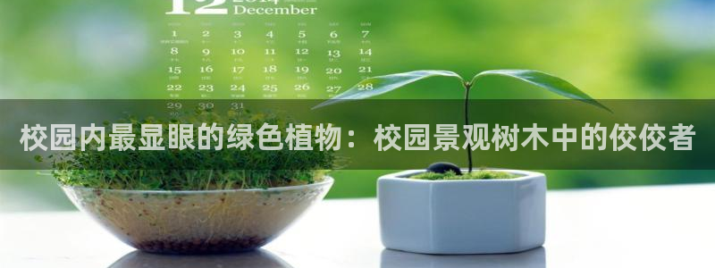 天顺娱乐舞厅在哪里