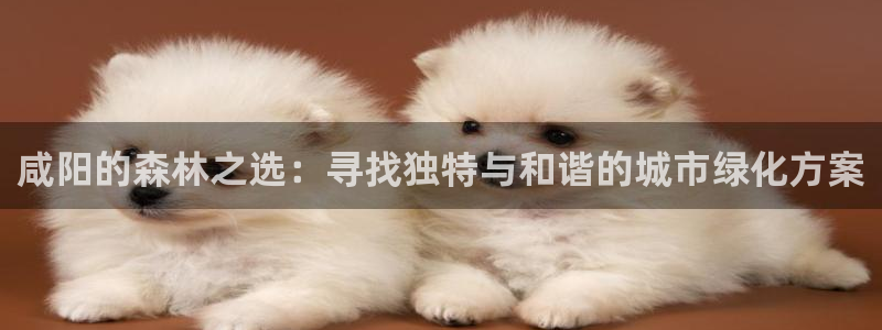 天顺娱乐妇943994