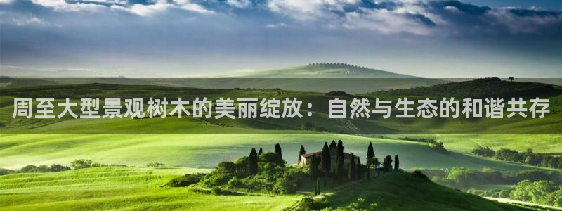 天顺娱乐vt金宀手宀指nj