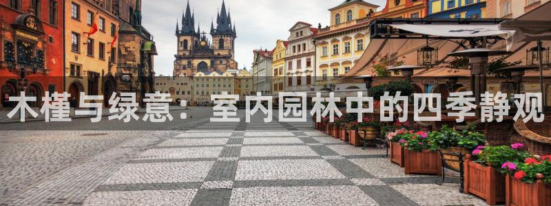 天顺娱乐虾 66 6