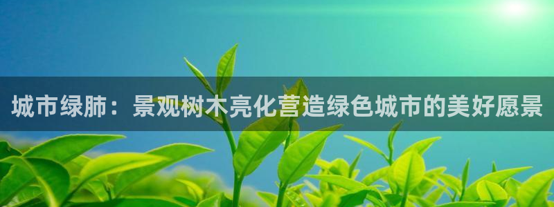 天顺娱乐密眠p官29999