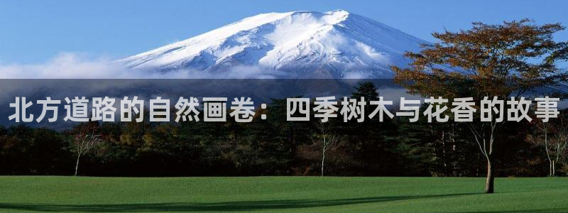 天顺娱乐樟78778