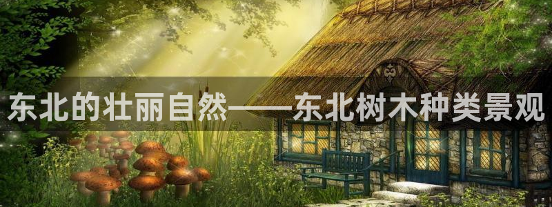 天顺娱乐负责人舌邈pg22650