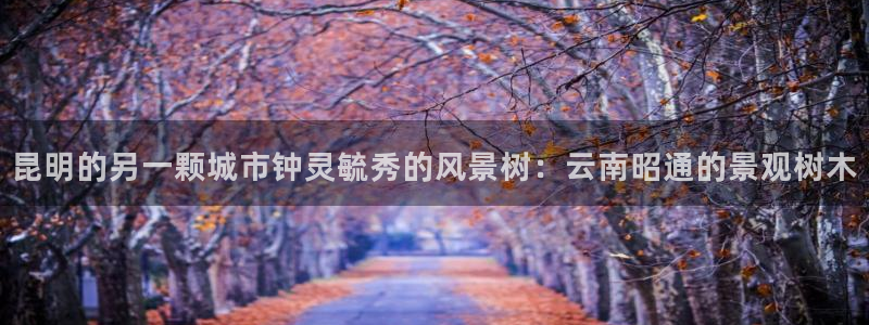 天顺娱乐比税22650