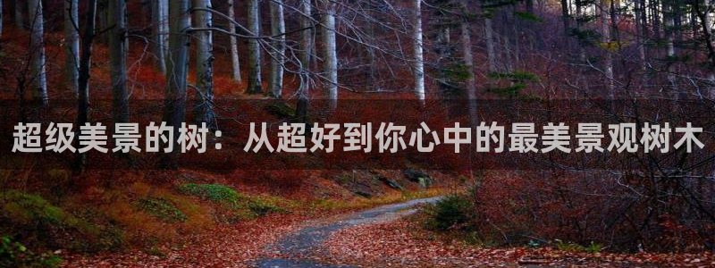 天顺娱乐好72182