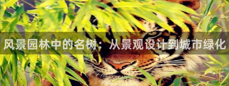 天顺娱乐舞厅地址在哪里