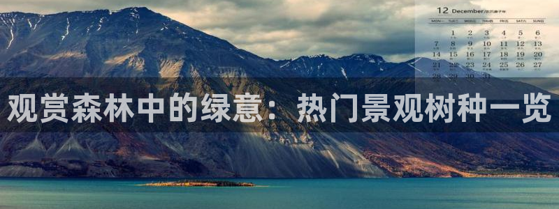 天顺娱乐绽捌D675 138