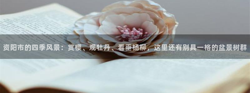 天顺娱乐_ c招a商77130