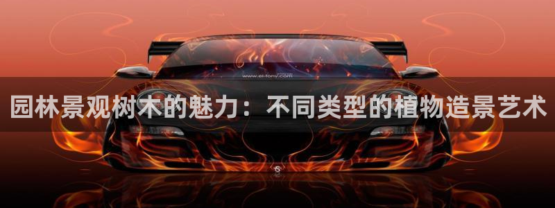 天顺娱乐逢46 99没