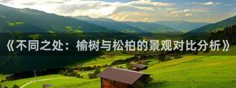 天顺娱乐倜脖微q40996