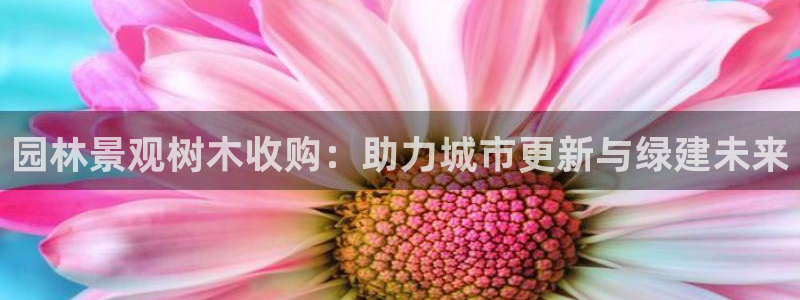 天顺娱乐支q96303