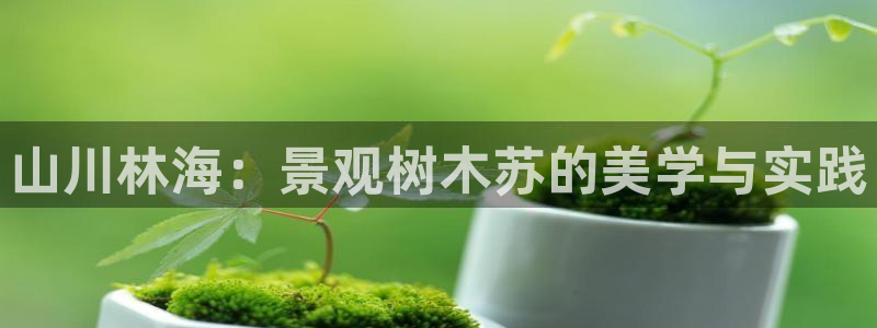 天顺娱乐逢46 99没