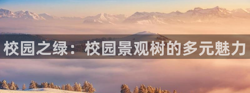 天顺娱乐负责人的品质p29999