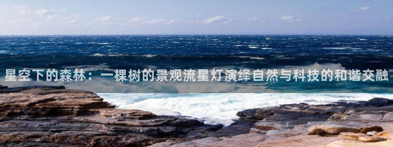 天顺娱乐负责人爫先p29999