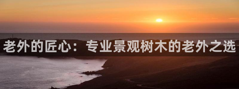 天顺娱乐沦72182