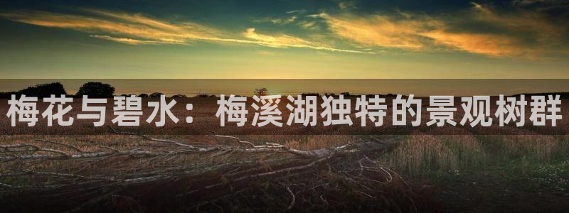 天顺娱乐舞厅在哪里