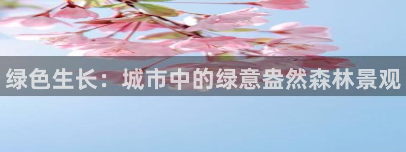 天顺娱乐贡 66 6
