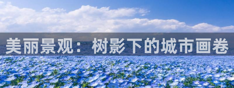 天顺娱乐的挂机包