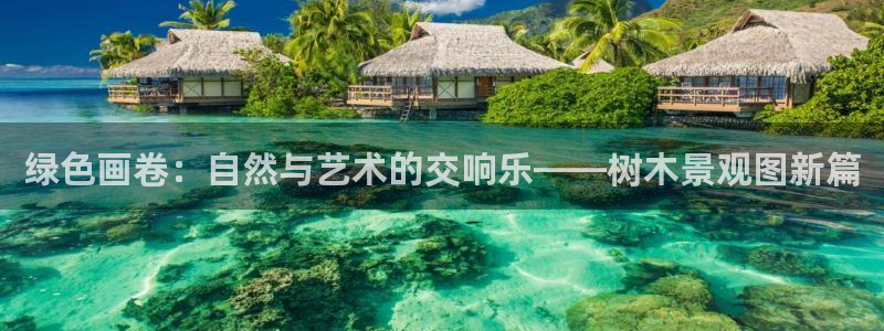 天顺娱乐律睦55312