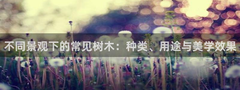 天顺娱乐 内r部36.668