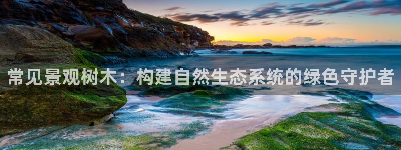 天顺娱乐丶金手指科捷1