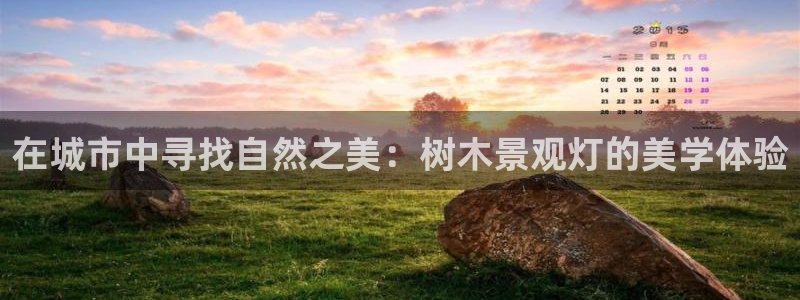 天顺娱乐视二下27
