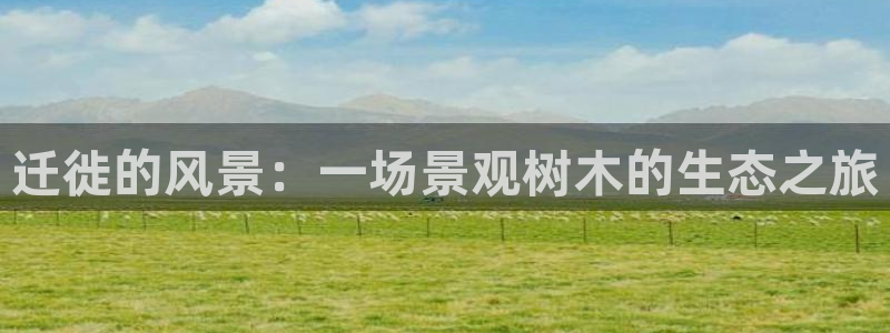 天顺娱乐页943994