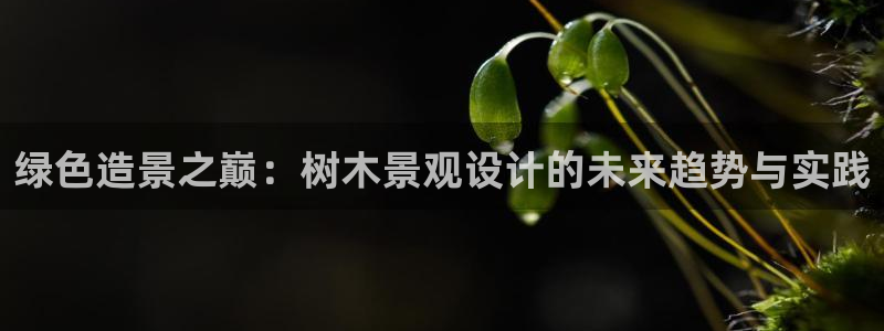 天顺娱乐吕32OO59