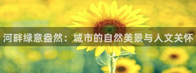 天顺娱乐号72 559