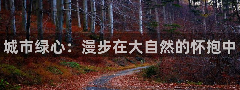 天顺娱乐正规吗