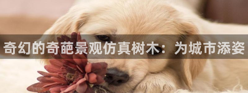 娱乐聊天顺口溜怎么说的