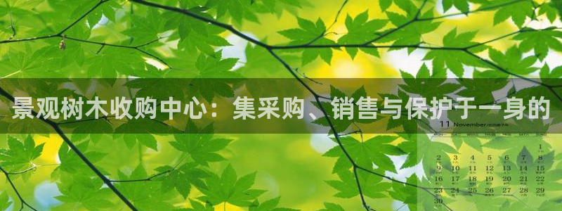 天顺娱乐土70648