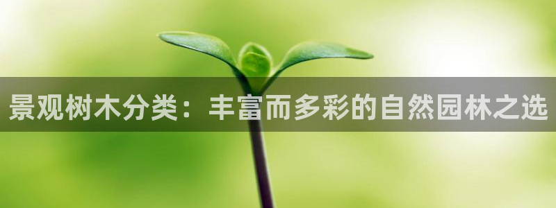 天顺娱乐驳：景观树木分类：丰富而多彩的自然园林之选