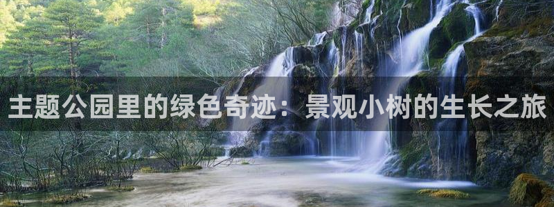 天顺娱乐负责人卜网pg22650