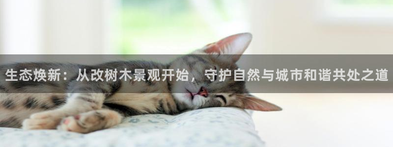 天顺娱乐肆99840诜：生态焕新：从改树木景观开始，守护自然与城市和谐共处之道