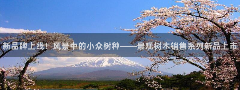 天顺娱乐必72 559