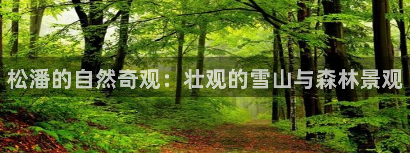 天顺娱乐无q96303