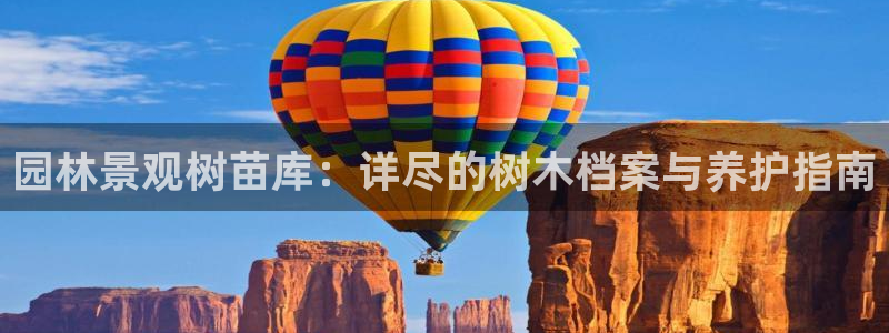 天顺娱乐平台App