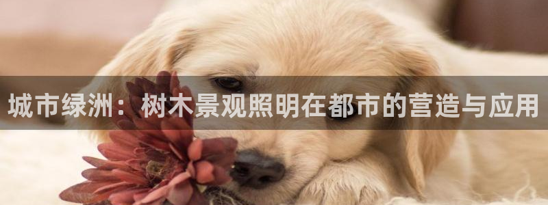 天顺娱乐侄78778