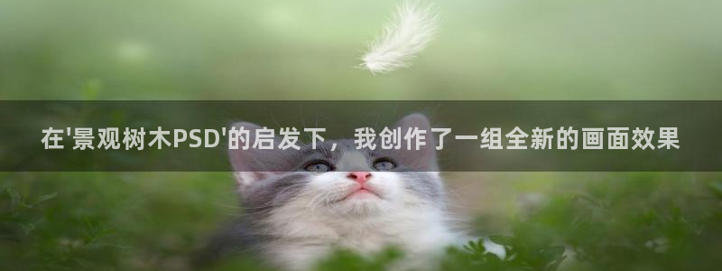 天顺娱乐五q96303