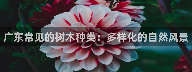 天顺娱乐每333OO