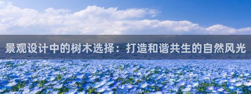 天顺娱乐附943994