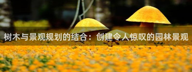 天顺娱乐app下载：树木与景观规划的结合：创建令人惊叹的园林景观
