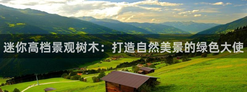 天顺娱乐主管都做什么