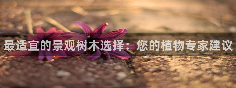 天顺娱乐 k户285580扣c