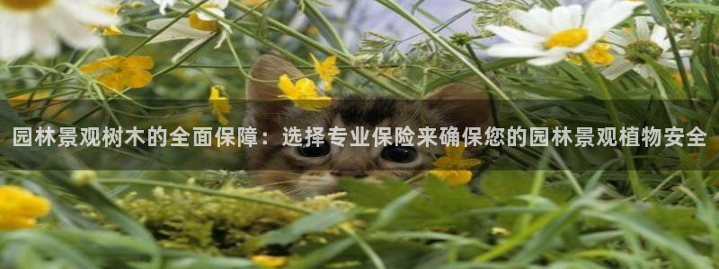 天顺娱乐联系q徽70555