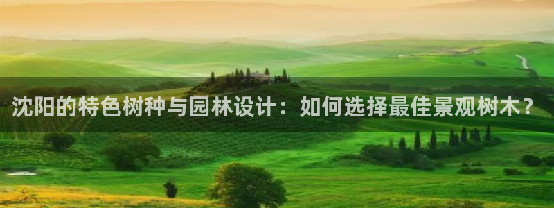 天顺娱乐铣愿裙么
