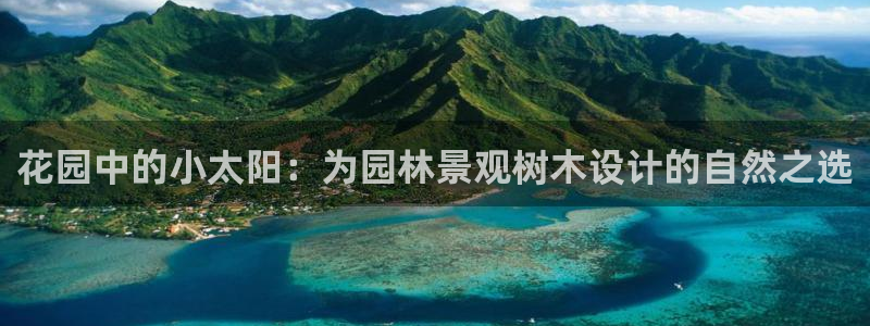 天顺娱乐 负t责任285580