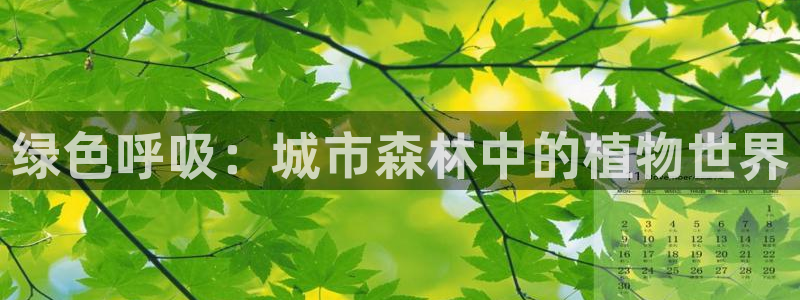 天顺娱乐盘罗判p29999